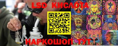 spice Кунгур