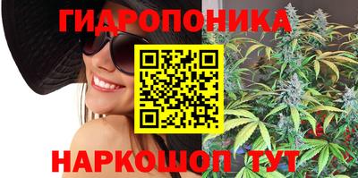 spice Кунгур