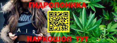 spice Кунгур