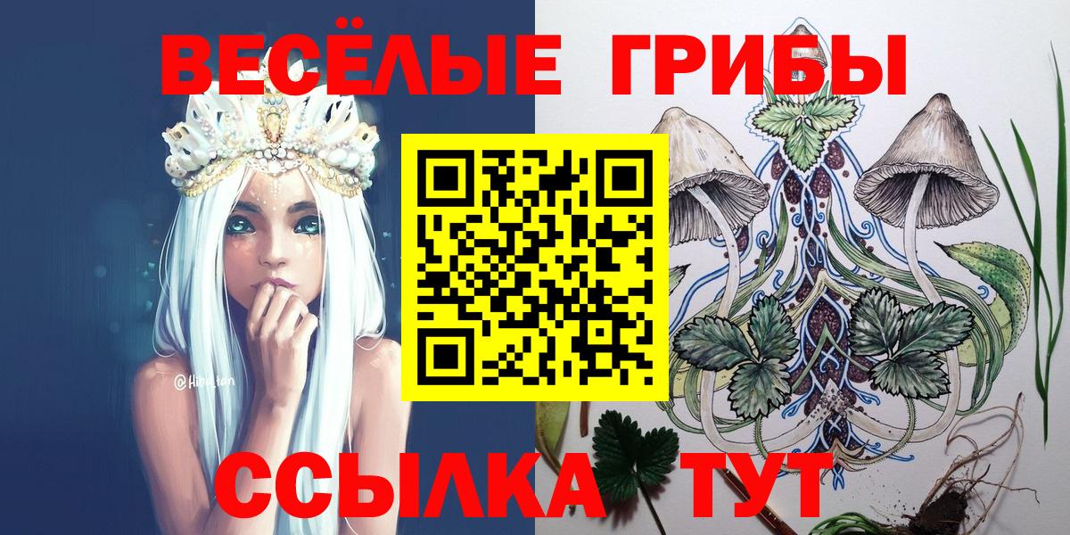 магазин    Вход с VPN  Галлюциногенные грибы GOLDEN TEACHER  Домодедово  Псилоцибиновые грибы GOLDEN TEACHER 