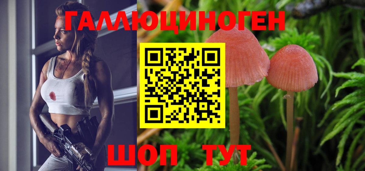 Галлюциногенные грибы GOLDEN TEACHER Домодедово